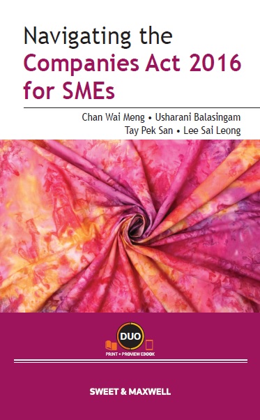 Navigating the Companies Act 2016 for SMEs